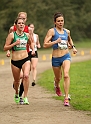 2011 BayXC-110